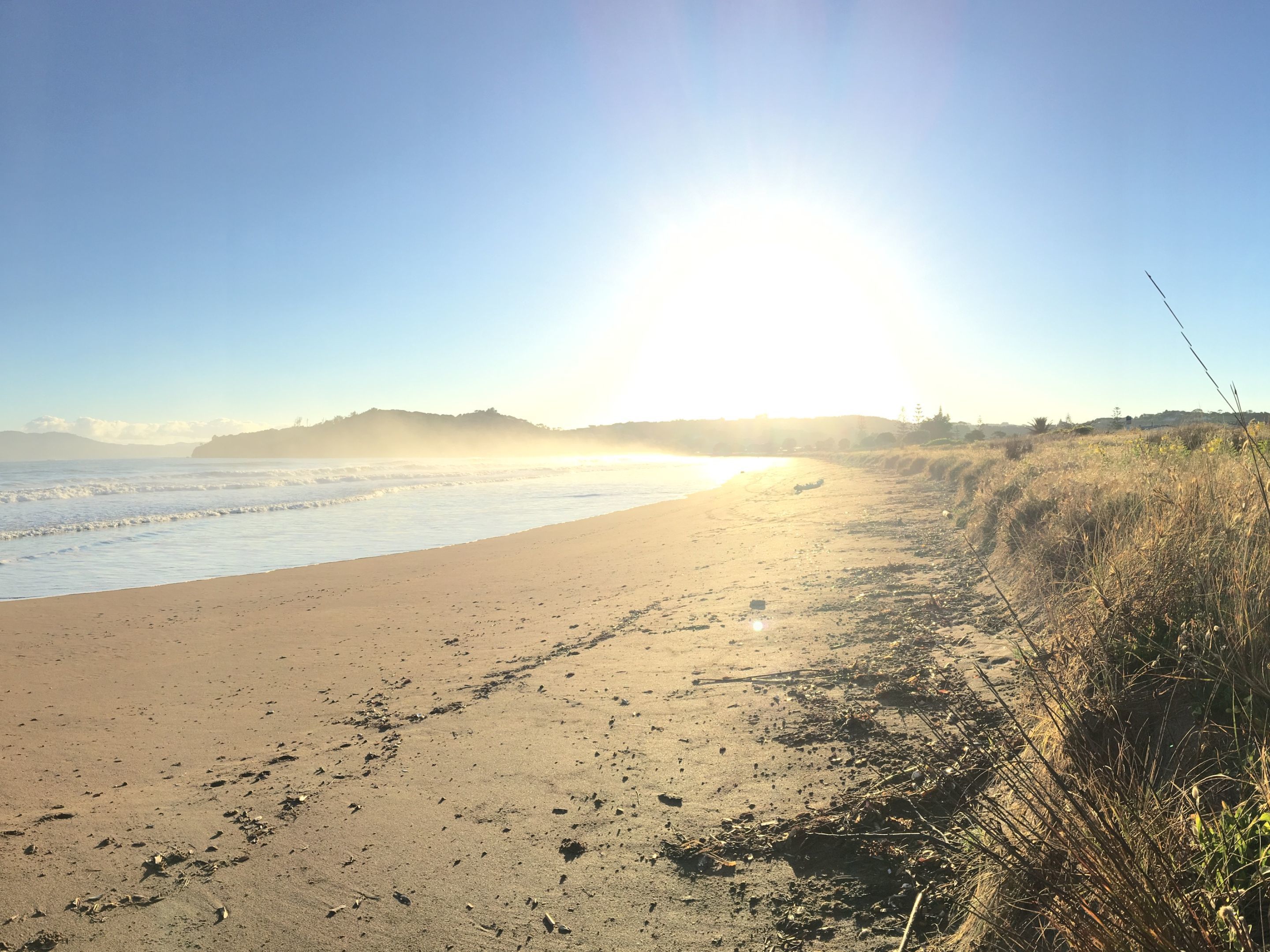 A beach with a clear sky and the sun low on the horizon.