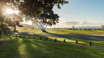 A grassy area with a paved path, a tree, and a distant view of a body of water.