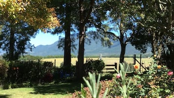 Executive Room, Multiple Beds, Mountain View | View from room