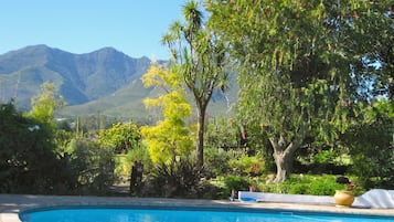Outdoor pool, pool umbrellas, sun loungers