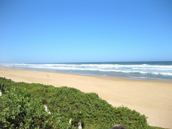 ビーチパラソル、ビーチタオル