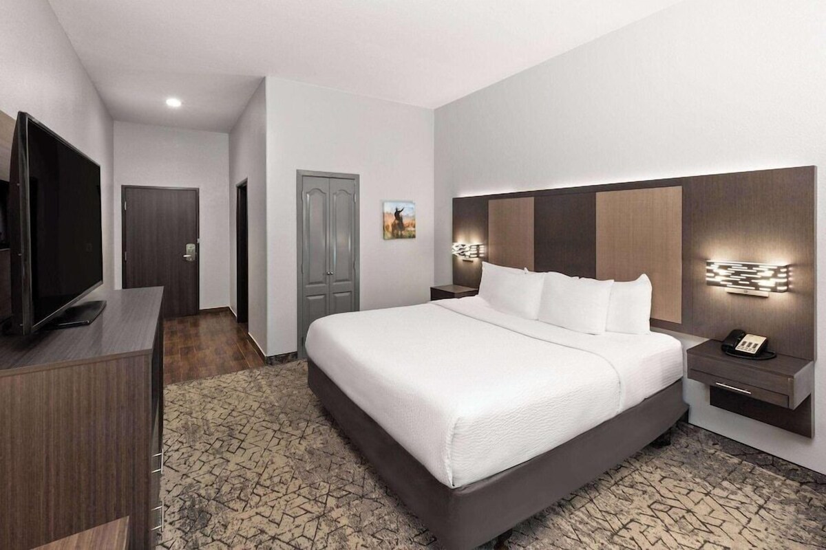 Una habitación de hotel con una cama grande, un televisor, un escritorio y una mesita de noche.