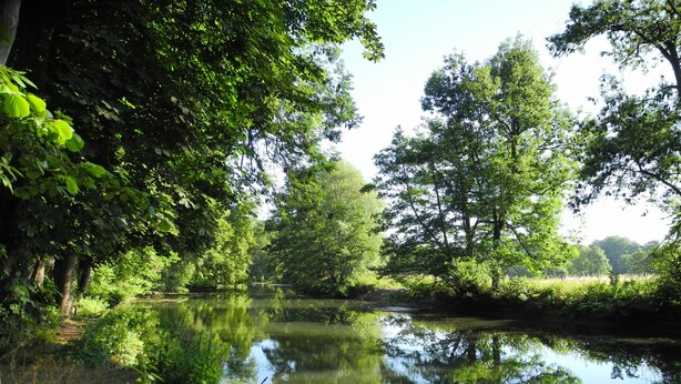 A calm river surrounded by dense greenery and trees reflecting in the water. - Villa Val Sénart (Quincy-sous-Senart)