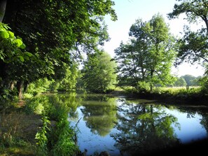 Un río tranquilo rodeado de abundante vegetación y árboles que se reflejan en el agua.