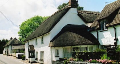 Southern Cross Guest House