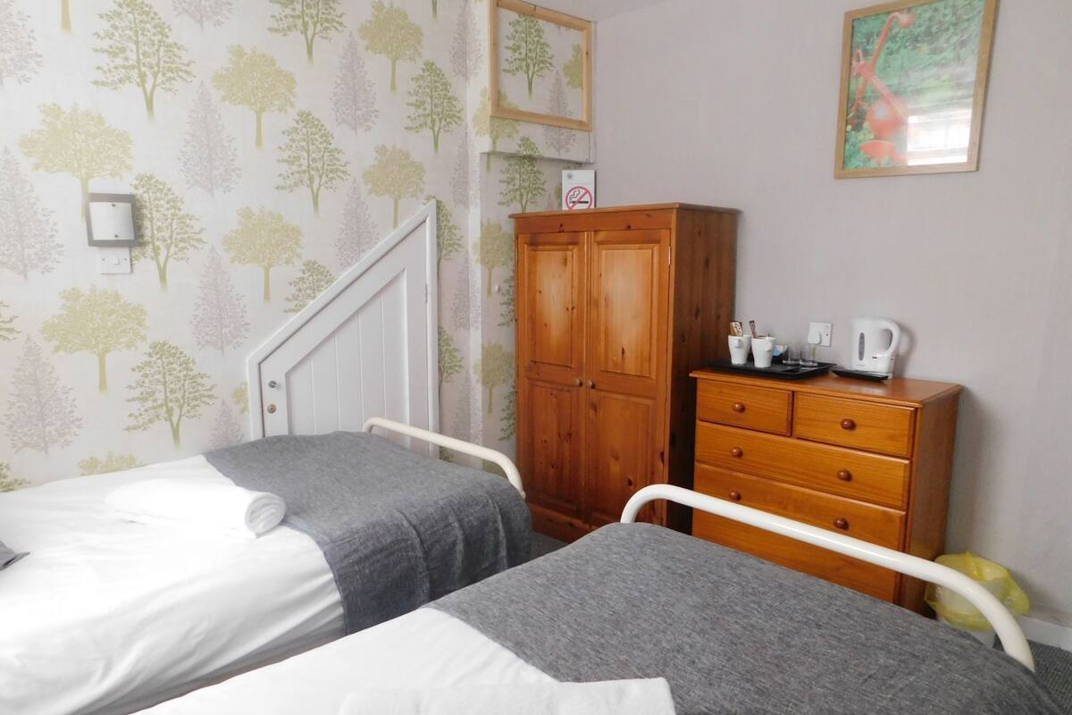 Een slaapkamer met twee bedden, een houten kledingkast, een klein tafeltje met een waterkoker en een aan de muur hangend schilderij.