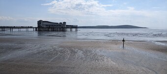 The Parasol Weston