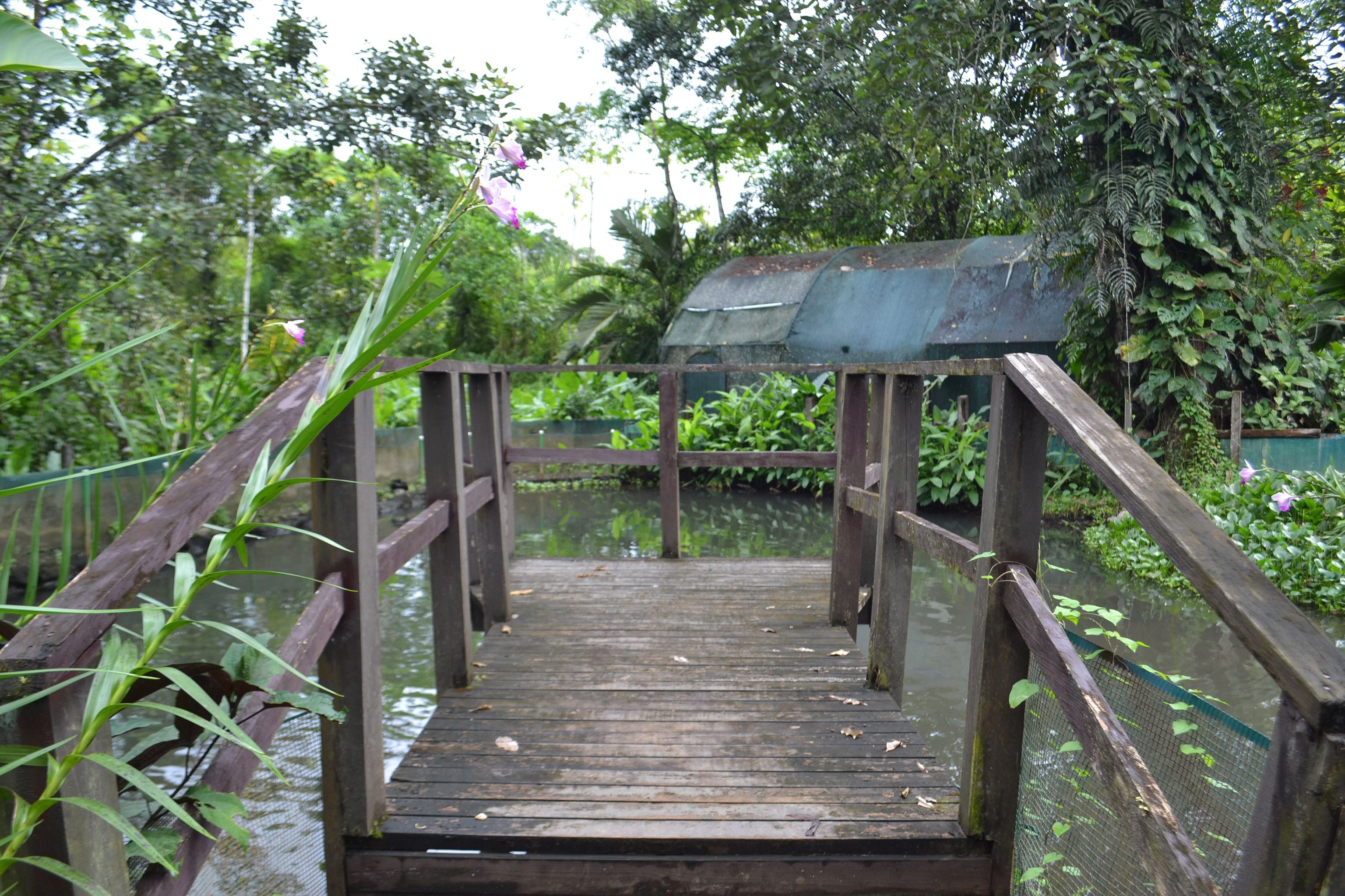Un puente de madera sobre el agua, con una estructura de techo metálico a la derecha.