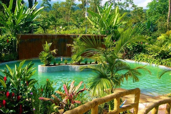 Aguas termales
