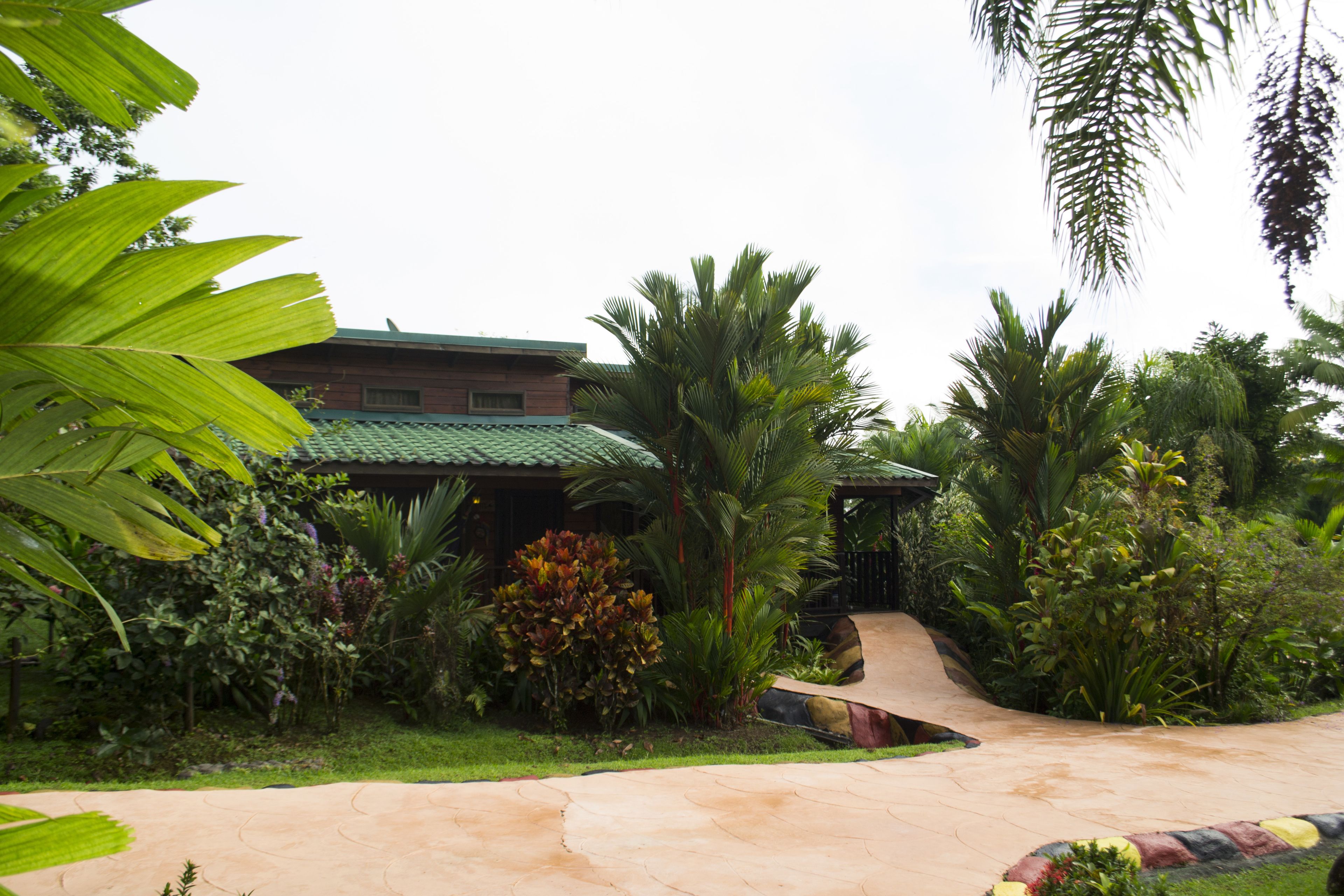 Un jardin tropical doté d’un chemin pavé, de palmiers et d’un bâtiment surmonté d’un toit végétalisé.