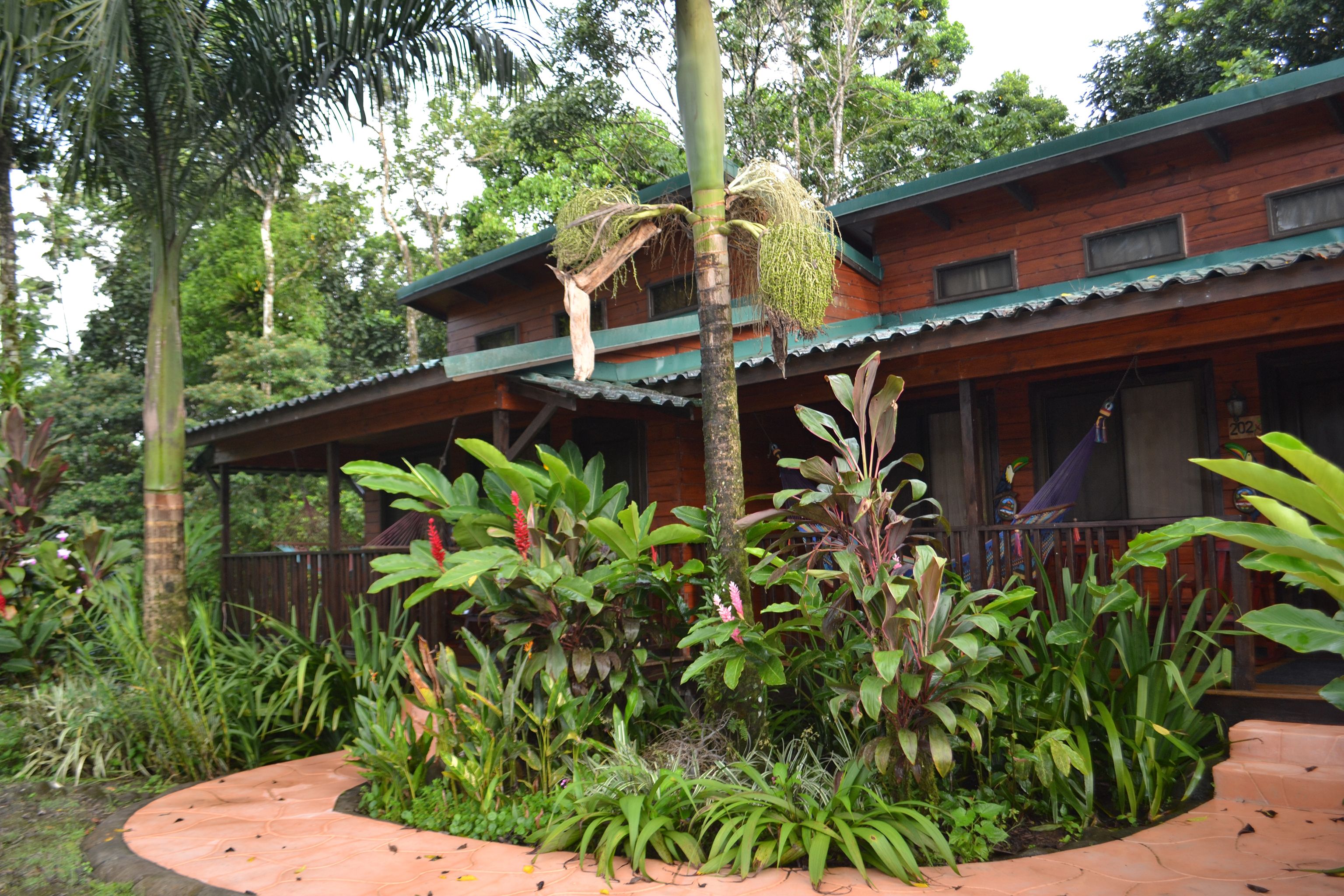 A wooden building with a green roof, surrounded by lush tropical vegetation.
