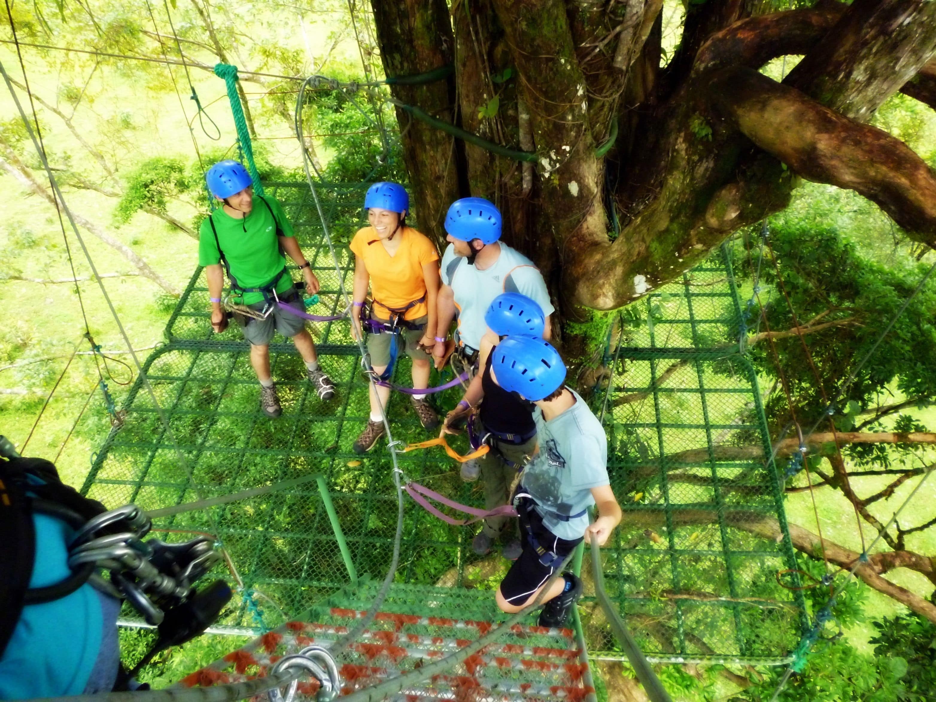 A group of people on a rope course with safety harnesses and helmets, surrounded by trees and netting.