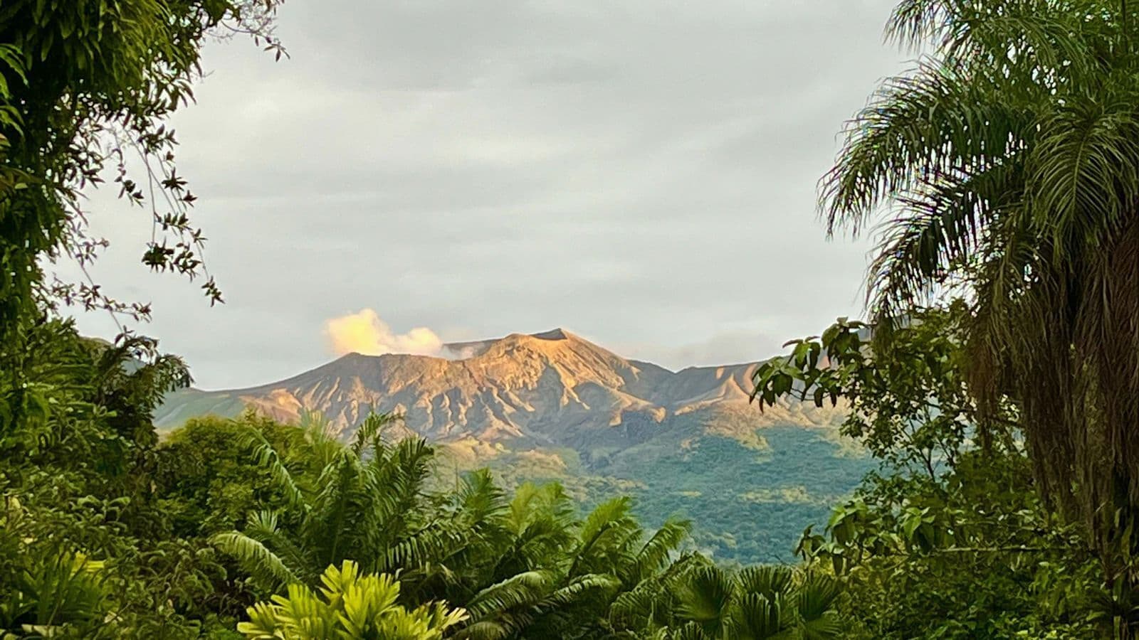 A mountain with a forested foreground and a cloudy sky.