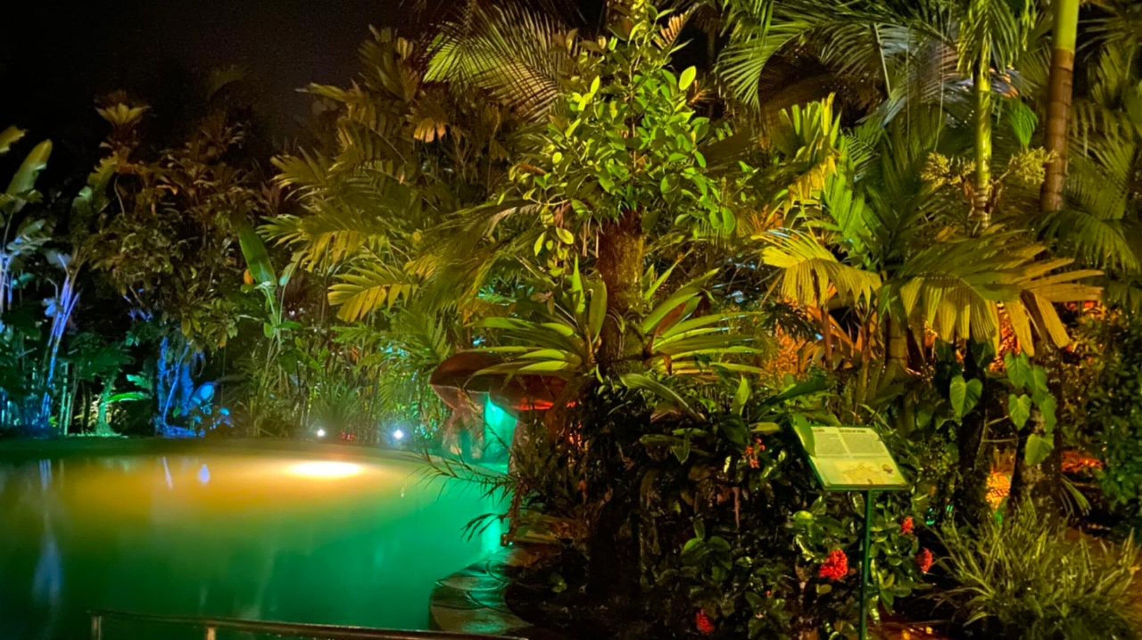 5 outdoor pools, pool loungers