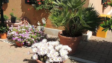Chambre Double | Jardin