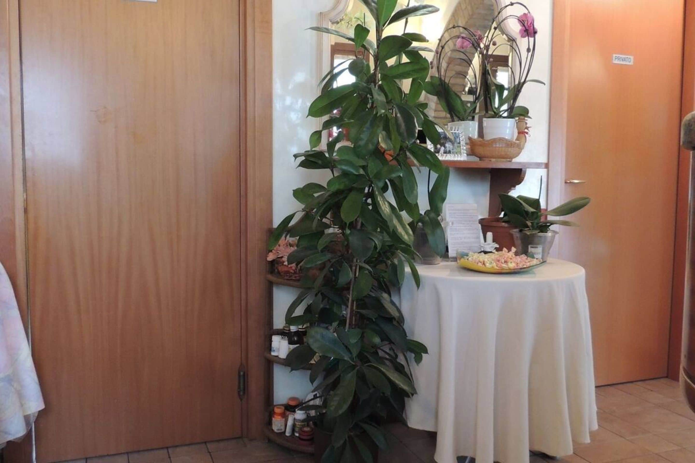 Foto - Country House Country Club