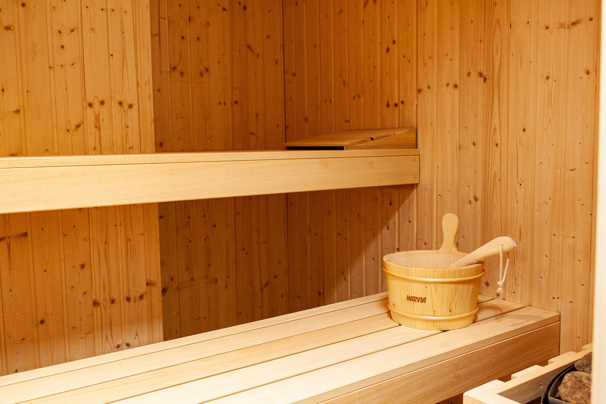 Foto - Pacoche Murcia