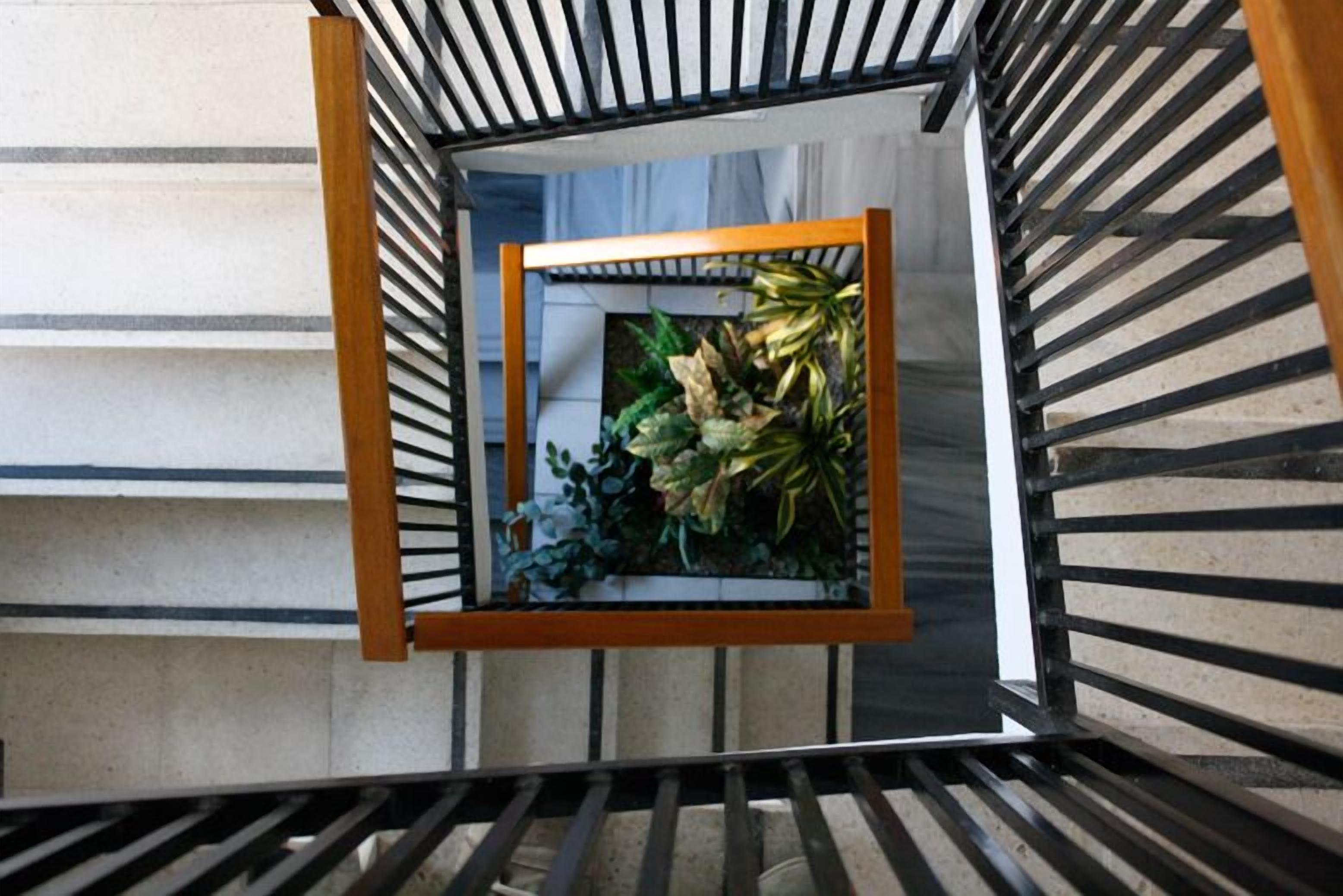 Foto - Pacoche Murcia