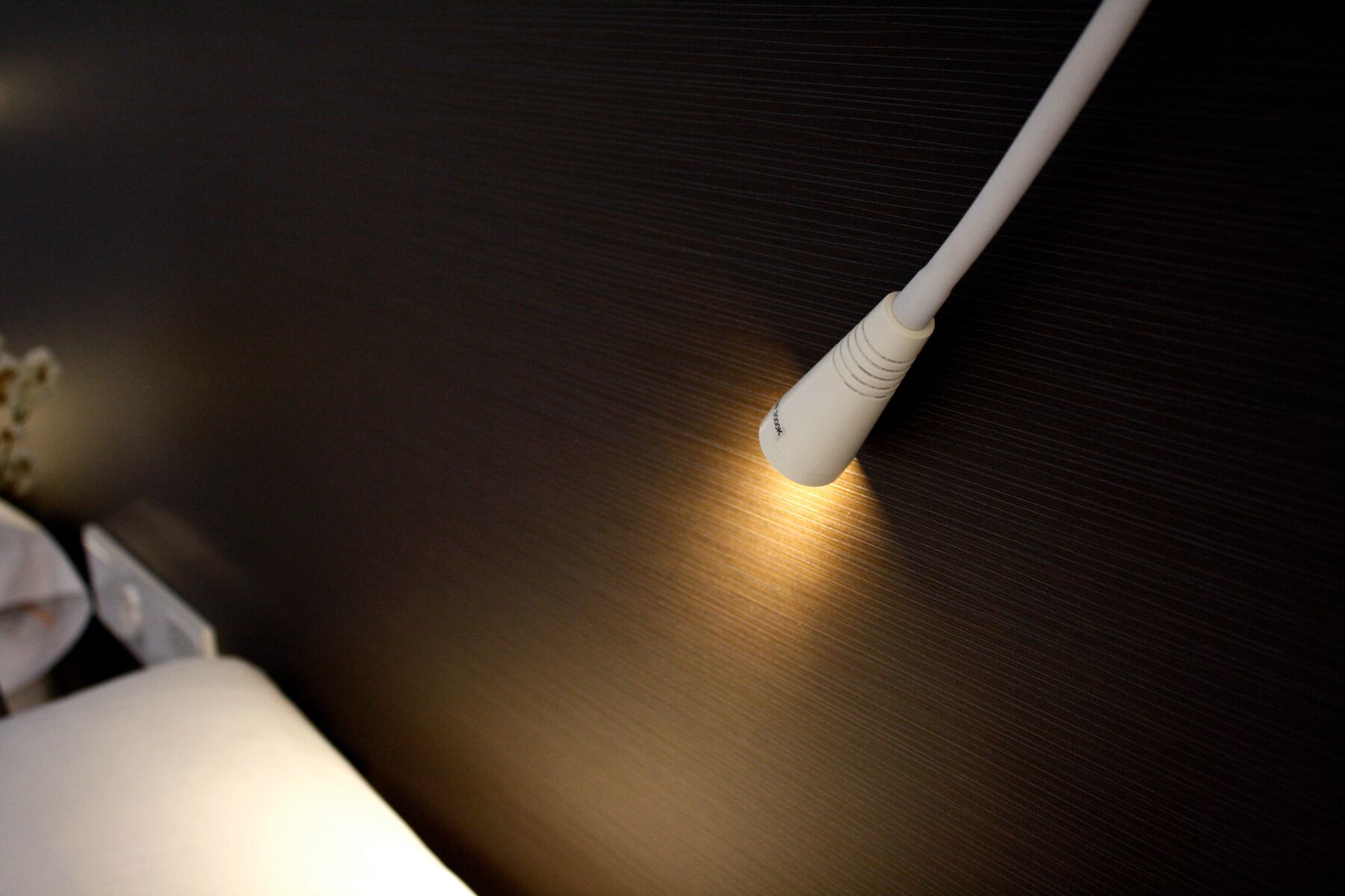 Foto - Pacoche Murcia