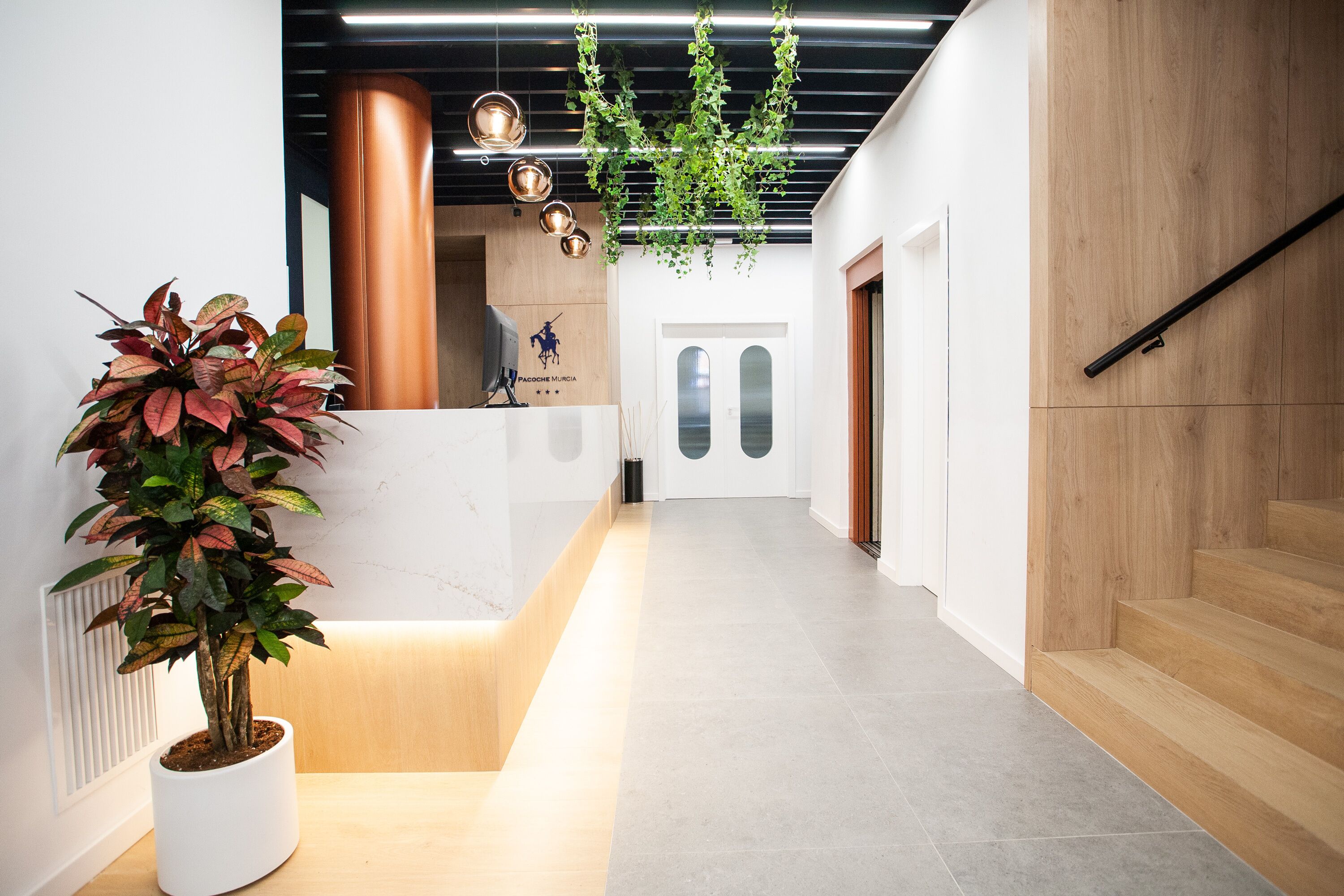 Foto - Pacoche Murcia