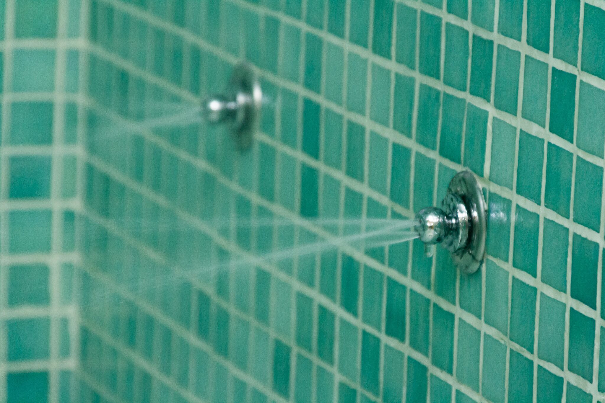 Foto - Pacoche Murcia