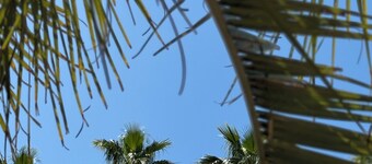 Provençal Hotel