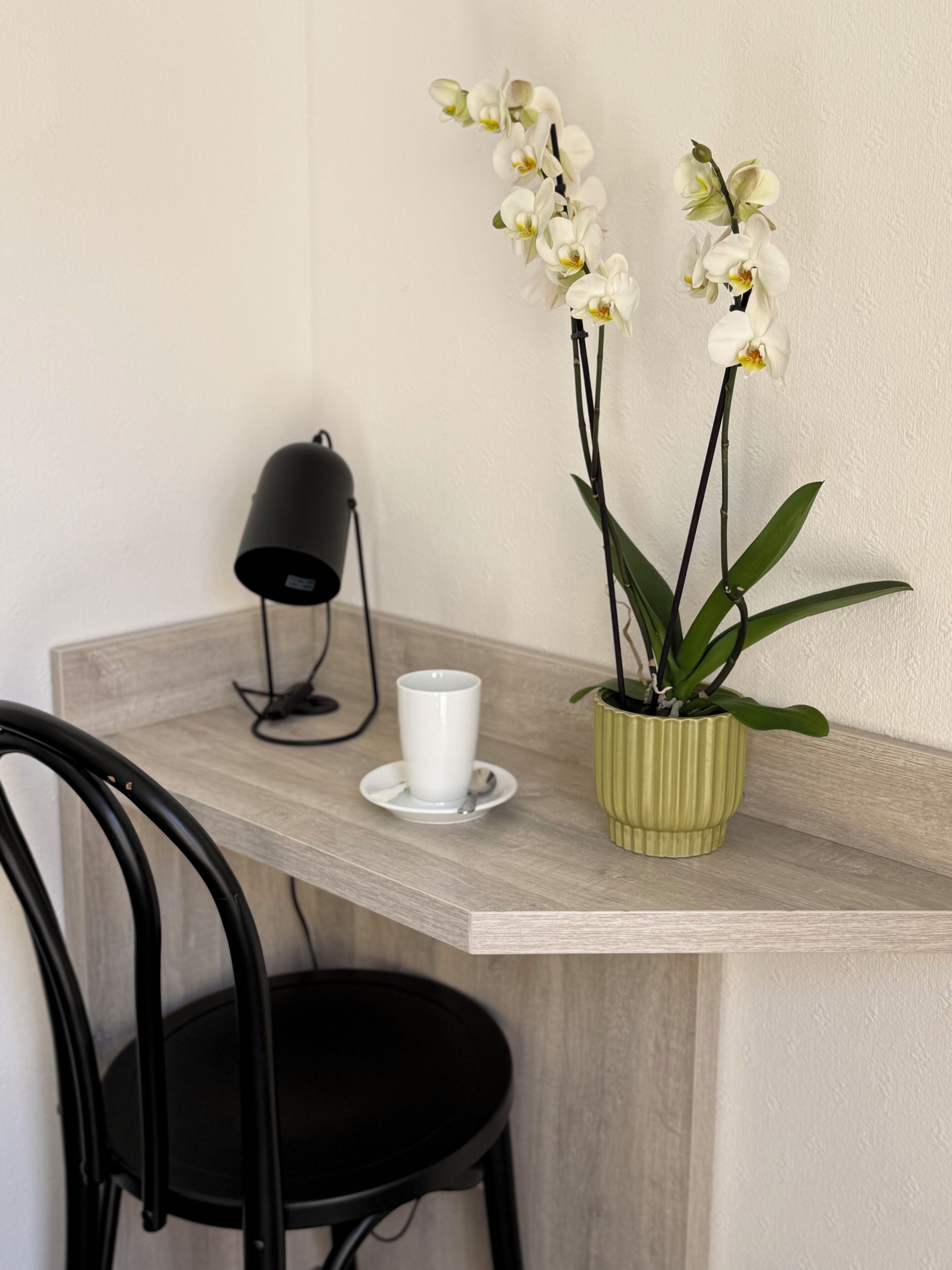 Ein Schreibtisch mit einer weißen Tasse, einer Lampe und zwei Orchideenpflanzen in einem grünen Topf.