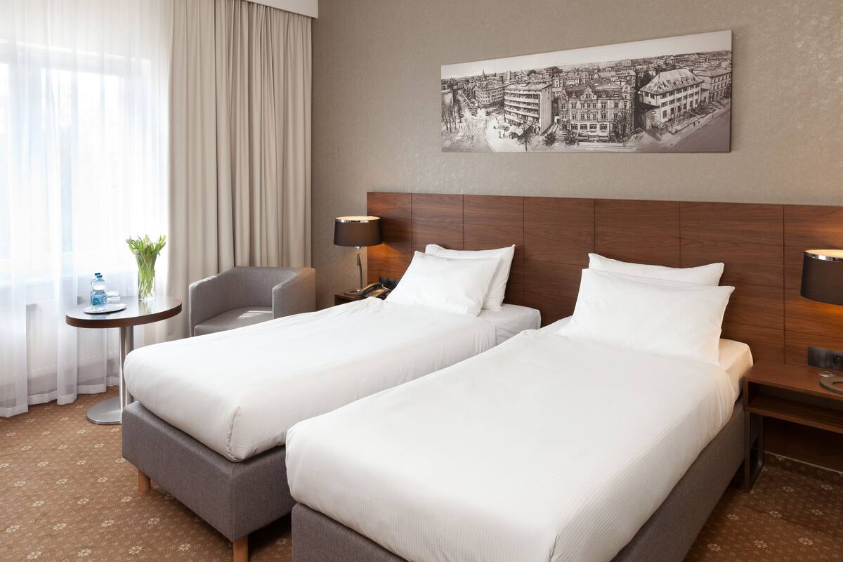business twin room | desk, iron/ironing board, free wifi, bed sheets