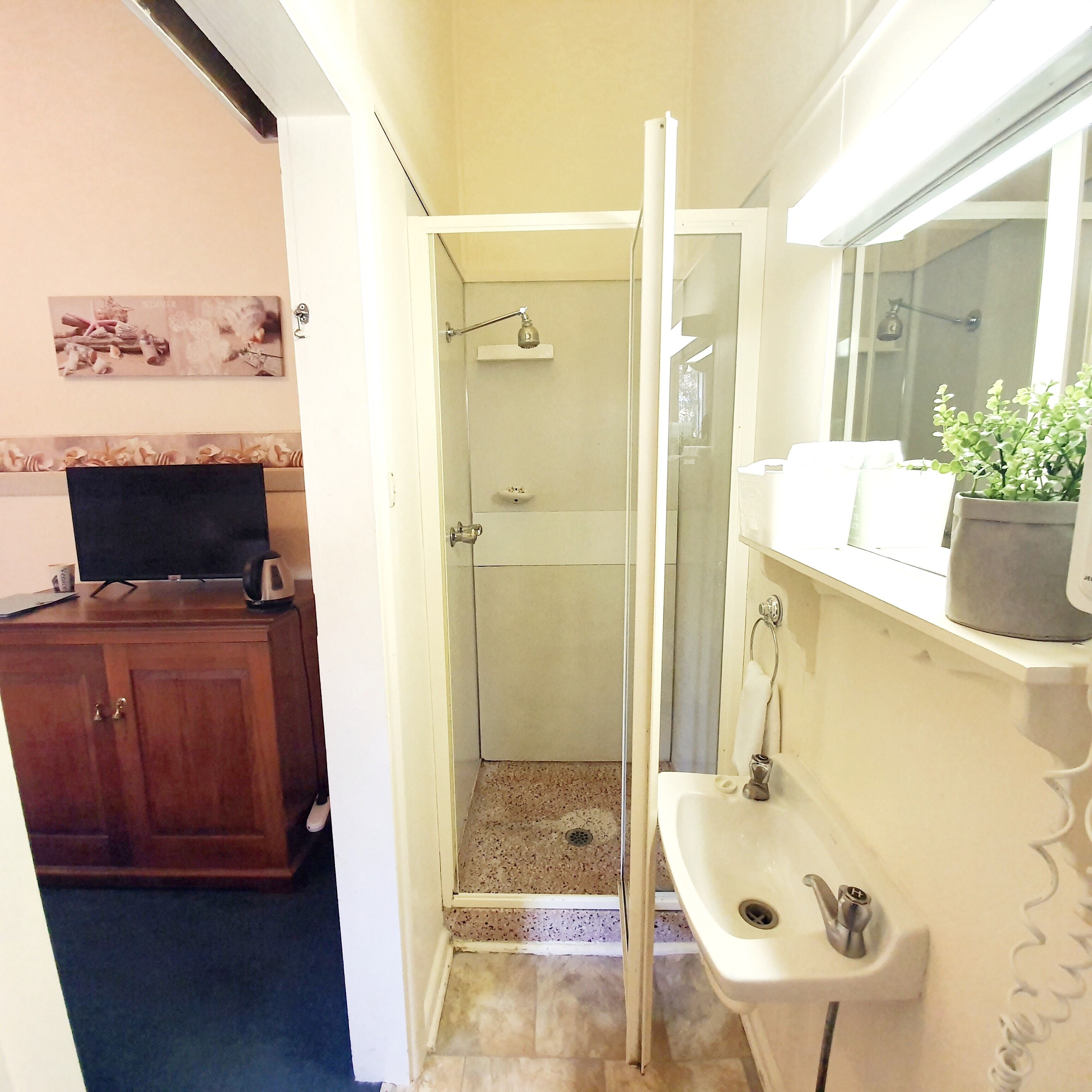 Baño con ducha, lavabo y espejo. Un televisor sobre un mueble a la izquierda.