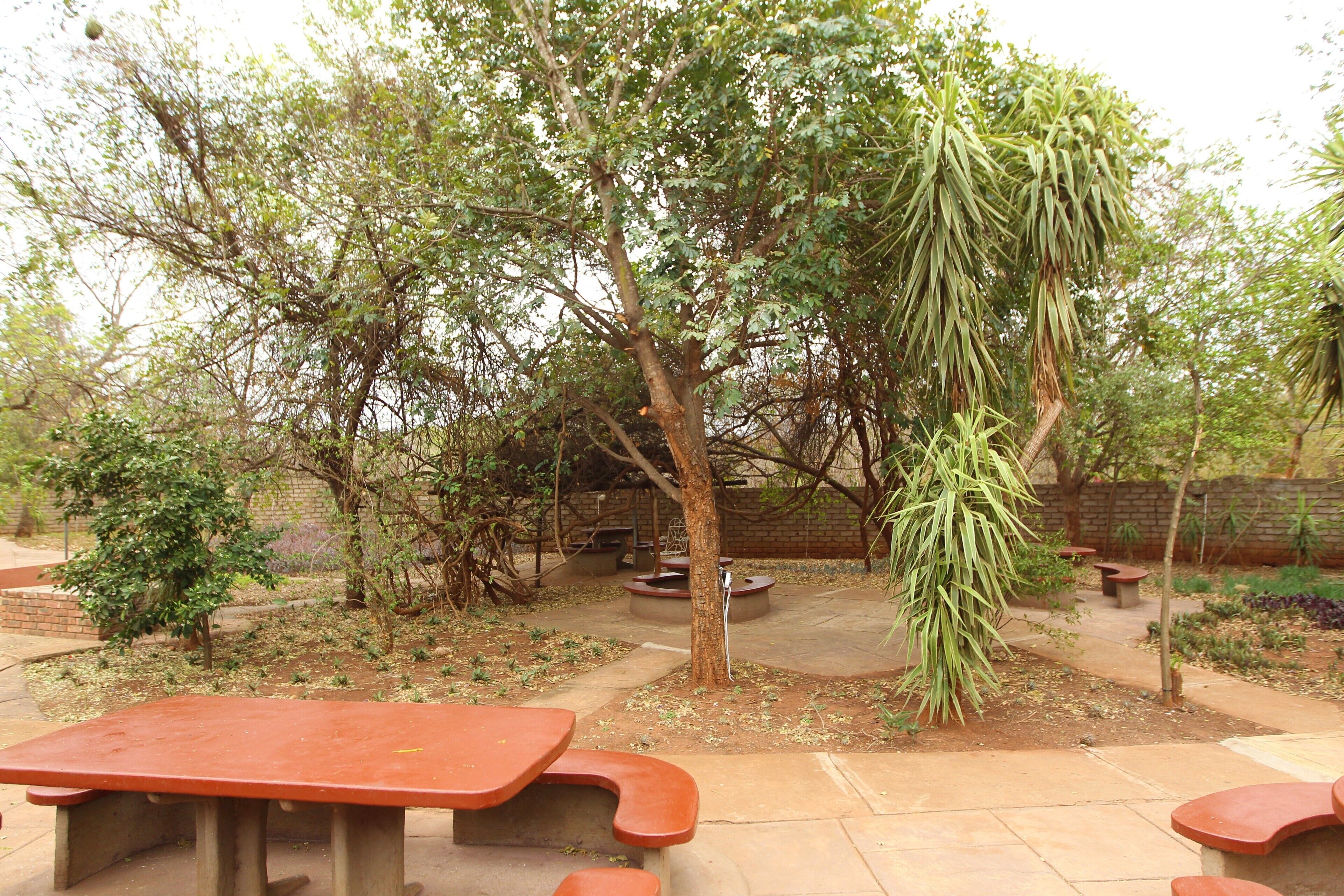 Un patio al aire libre con mesas de picnic y diversos árboles y arbustos.