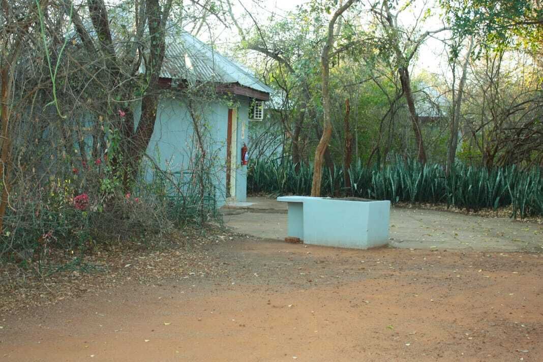 A rustic building with a sloped roof, surrounded by dense vegetation and a dirt ground.