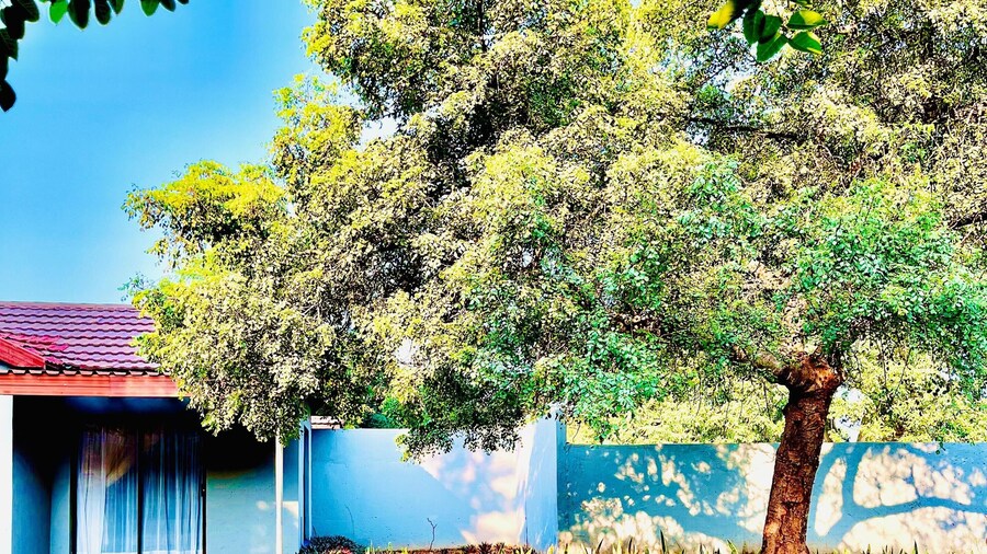 コパコパ ロッジ アンド カンファレンス センター