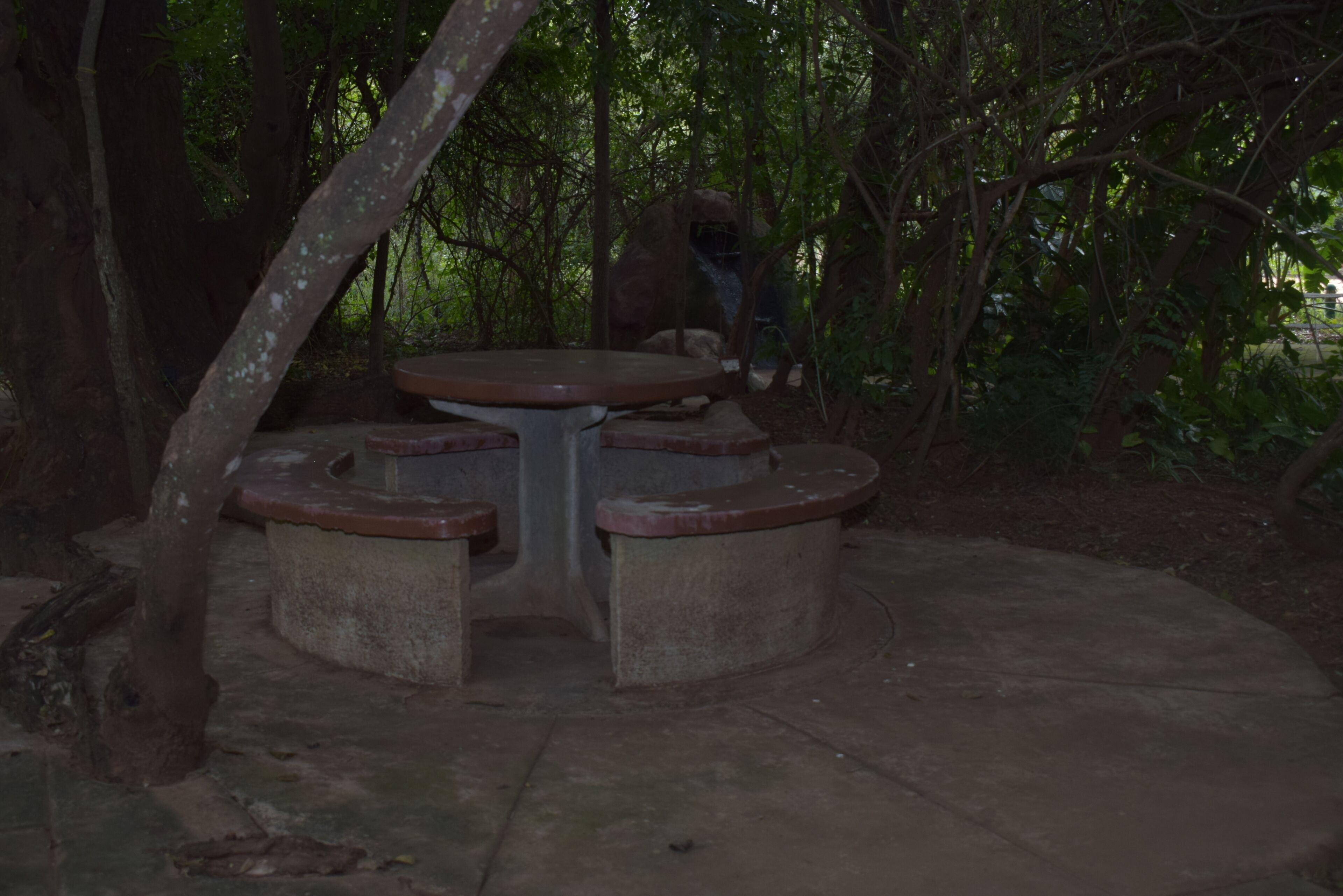 A round table with four benches in a shaded outdoor area surrounded by trees.