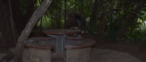 A round table with four benches in a shaded outdoor area surrounded by trees.