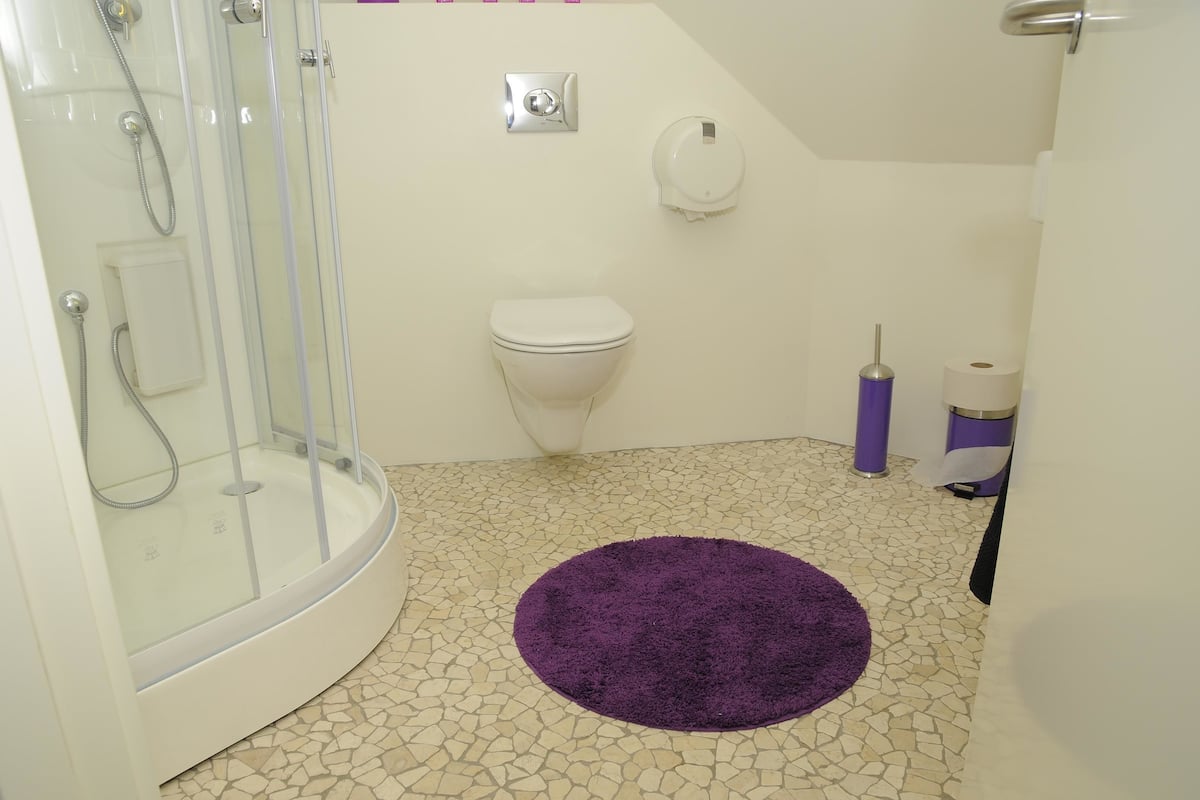 basic single room, shared bathroom | bathroom | hair dryer, towels
