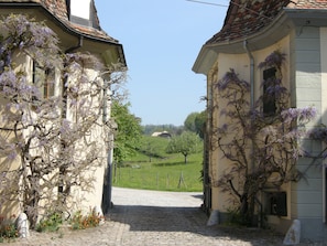 A cobblestone pathway leading to a building with a traditional European architectural style, surrounded by lush greenery and flowering trees.