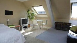 A room with a bed, a TV, a small table with chairs, a plant, and a window.