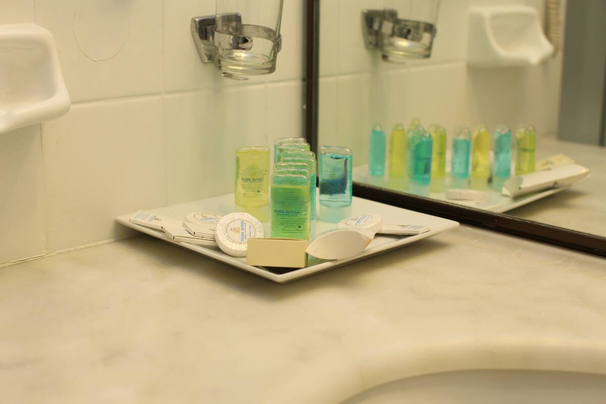 basic double room | bathroom sink