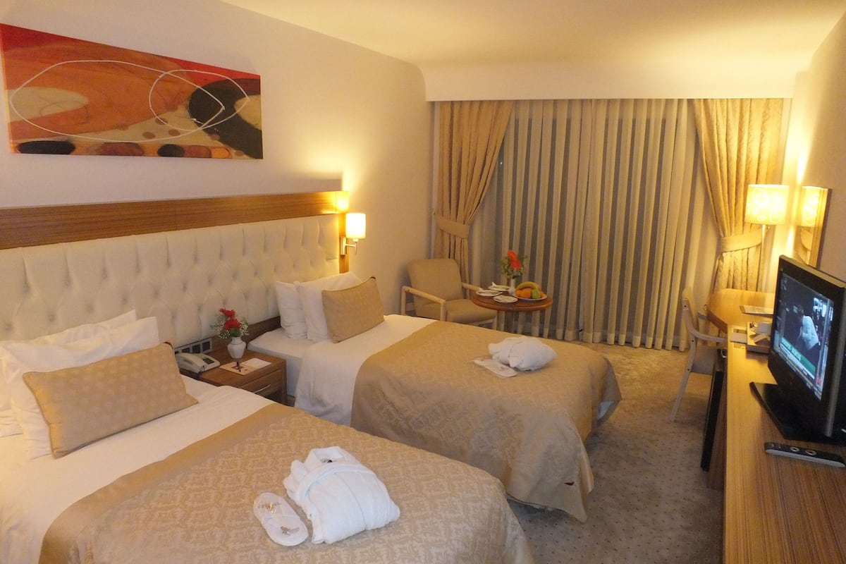 single room | minibar, in-room safe, desk, free wifi