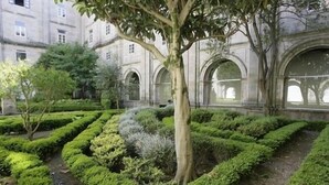 A formal garden with neatly trimmed hedges and a large tree in the center, surrounded by a classical building with arched windows.
