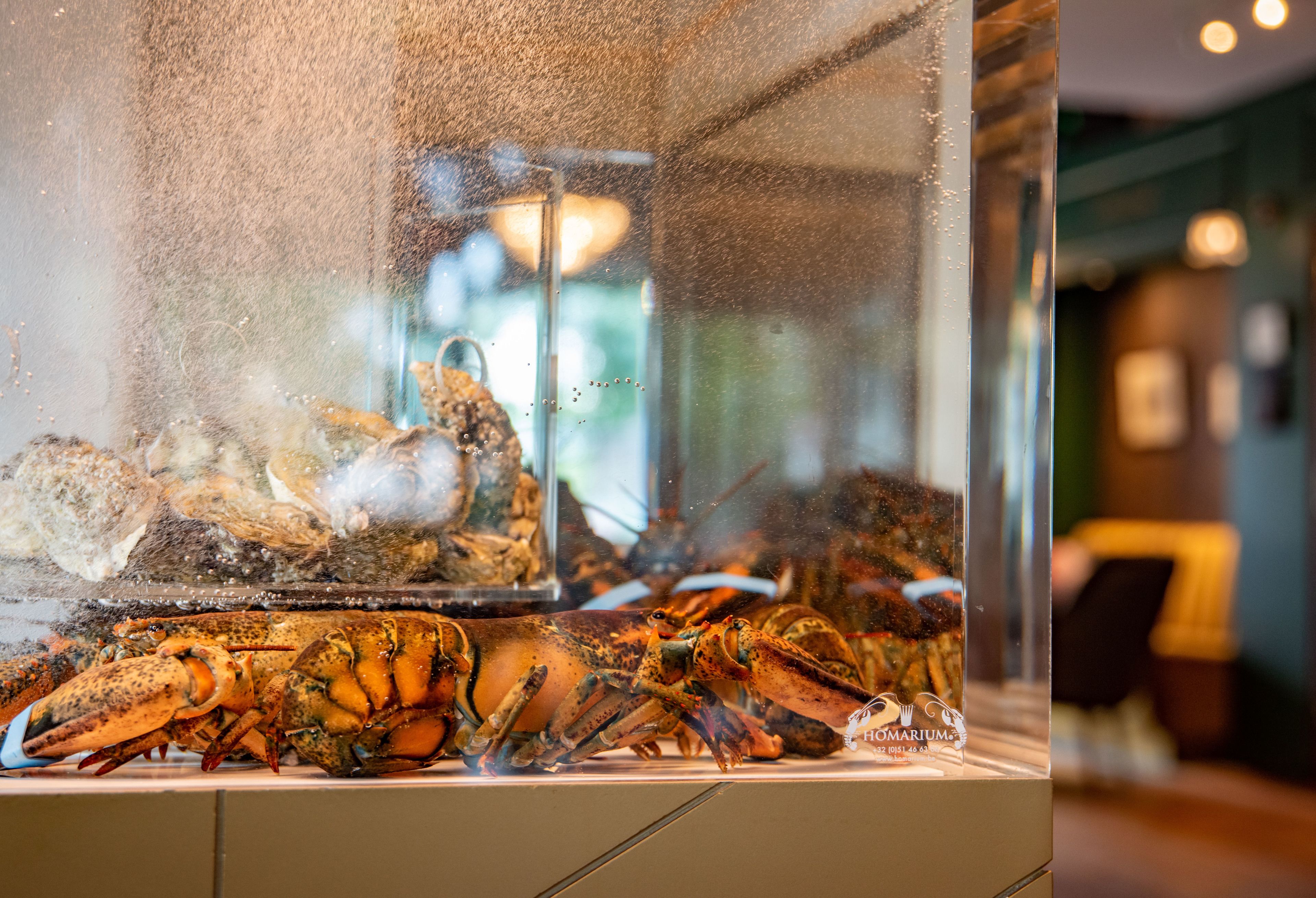 breakfast, lunch, dinner served; french cuisine, garden views