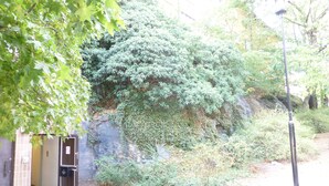 A stone building with a door, a small garden area with bushes, and a street lamp. - Acco Hostel (Stockholm)