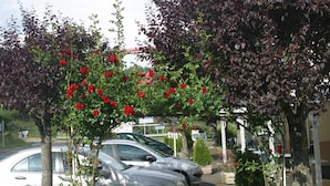 A parking area with two cars parked under a tree with red flowers. - Garabit Hôtel (Anglards-de-Saint-Flour)