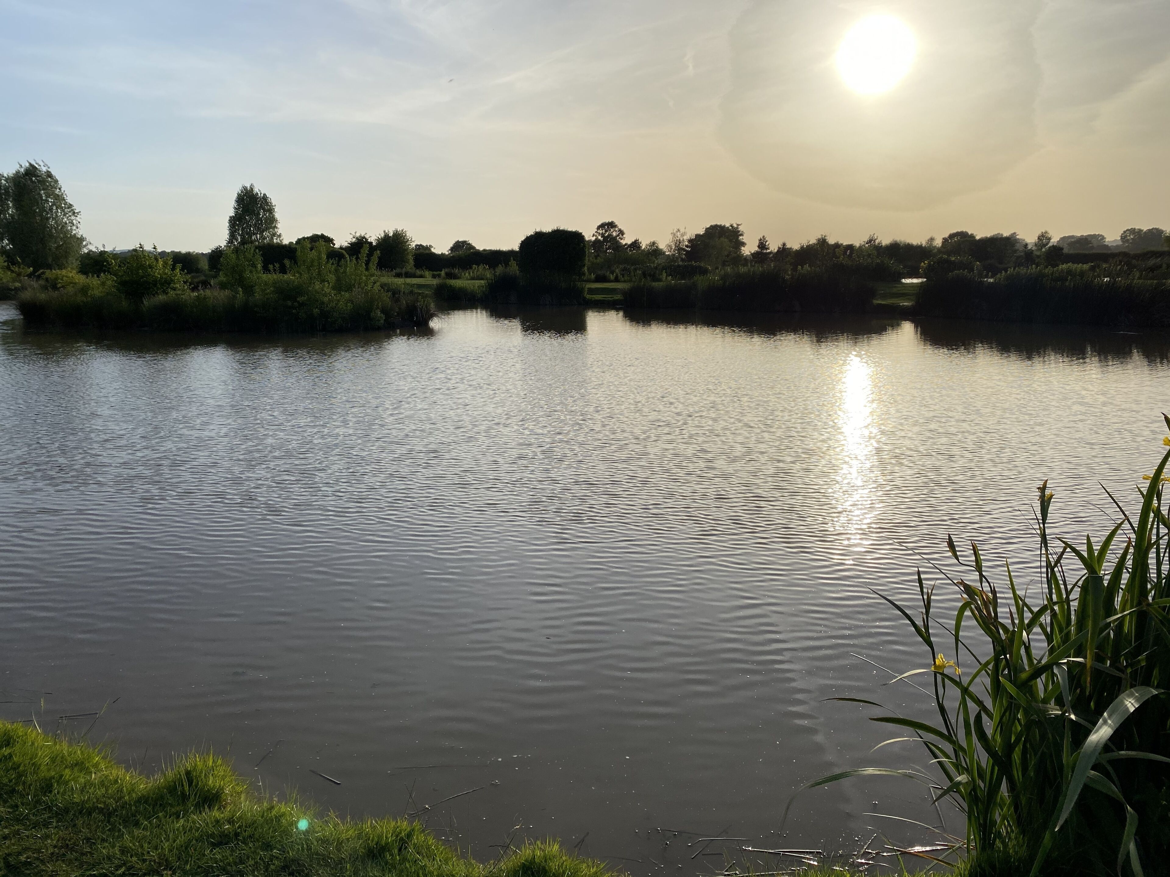 A calm lake with a clear sky and sunlight reflecting on the water.