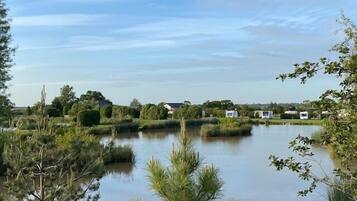 A serene lakeside view with a calm water body, surrounded by lush greenery and a few buildings in the background.