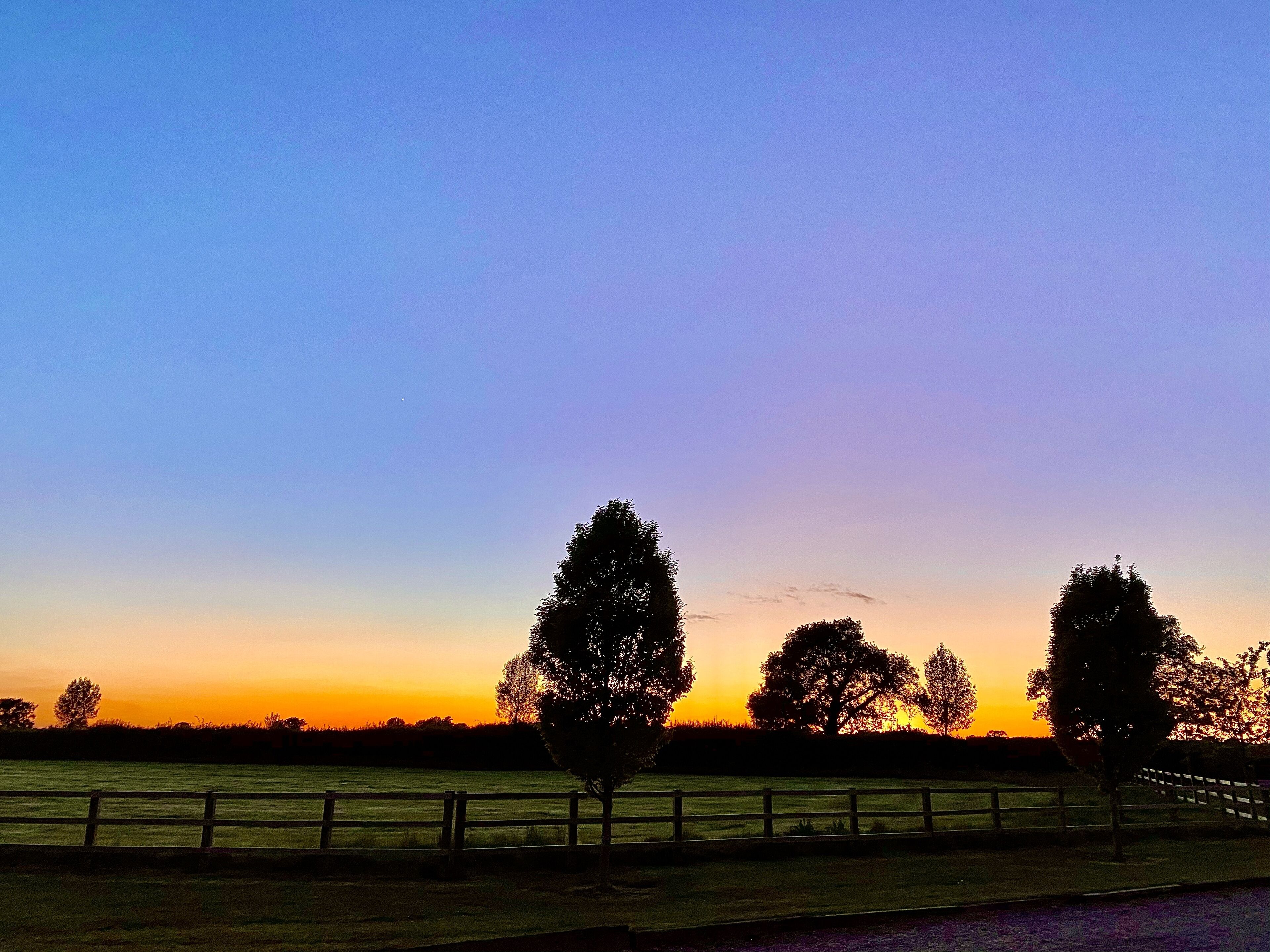 A sunset over a grassy field with a wooden fence and trees.