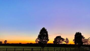 A sunset over a grassy field with a wooden fence and trees.