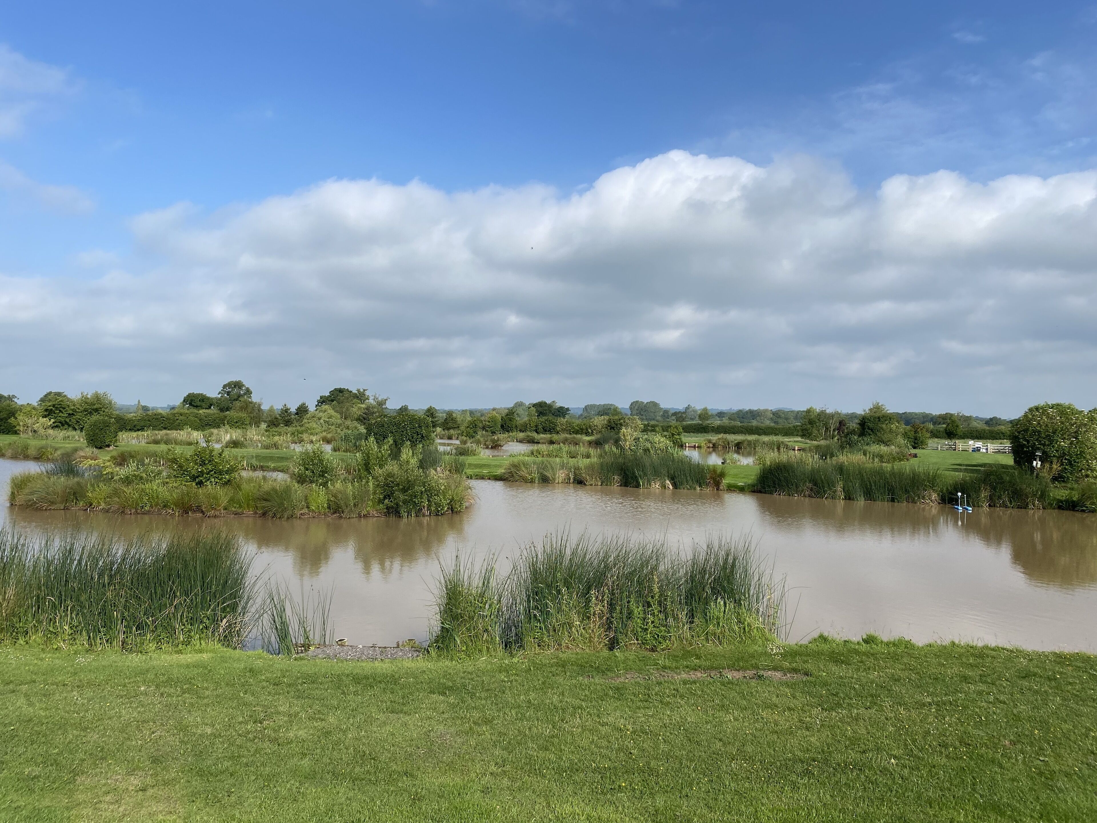 Eine friedliche Landschaft mit einem Teich, umgeben von üppiger Vegetation und Bäumen.