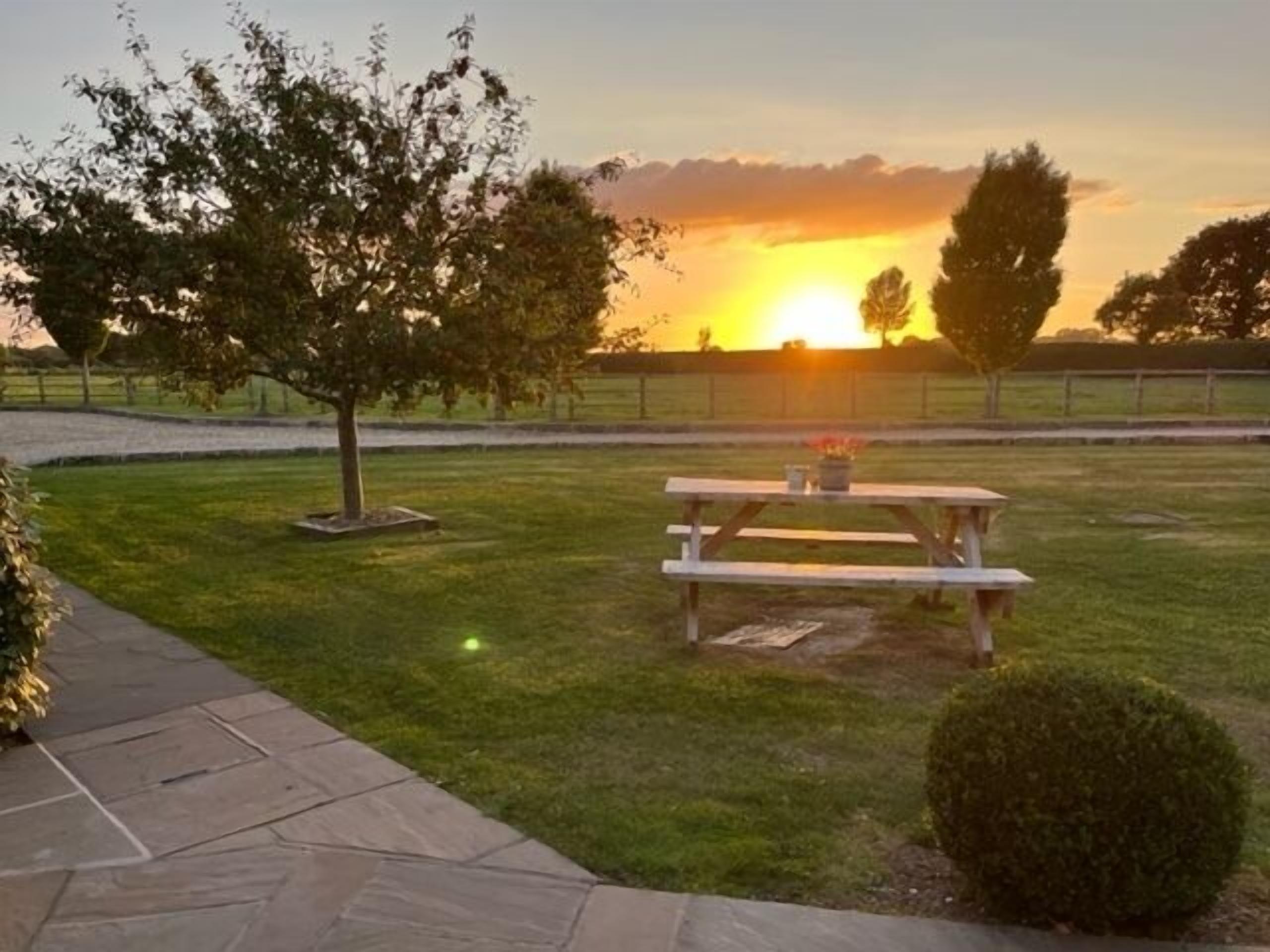 A picnic table in a grassy area with a sunset in the background.