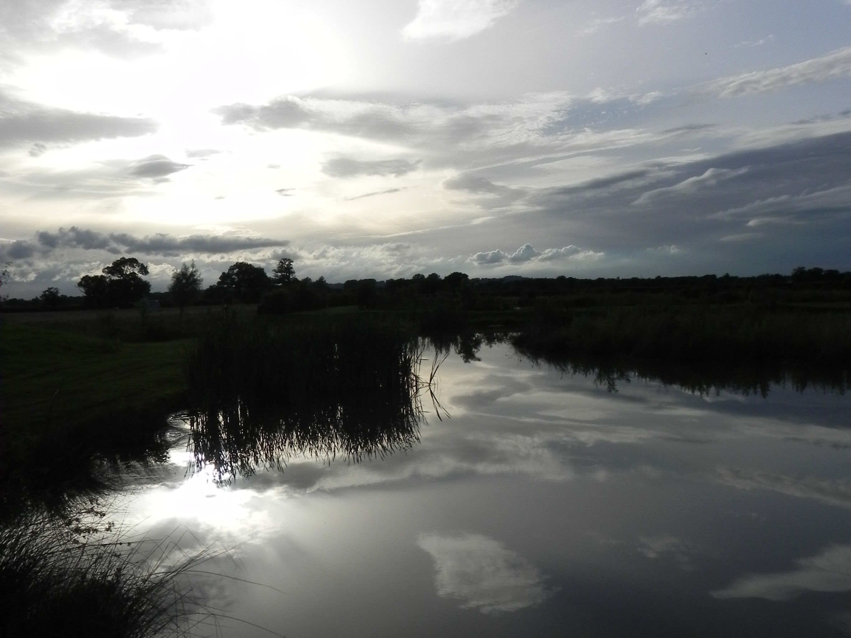 A calm body of water reflecting the sky, surrounded by grassy areas and trees.